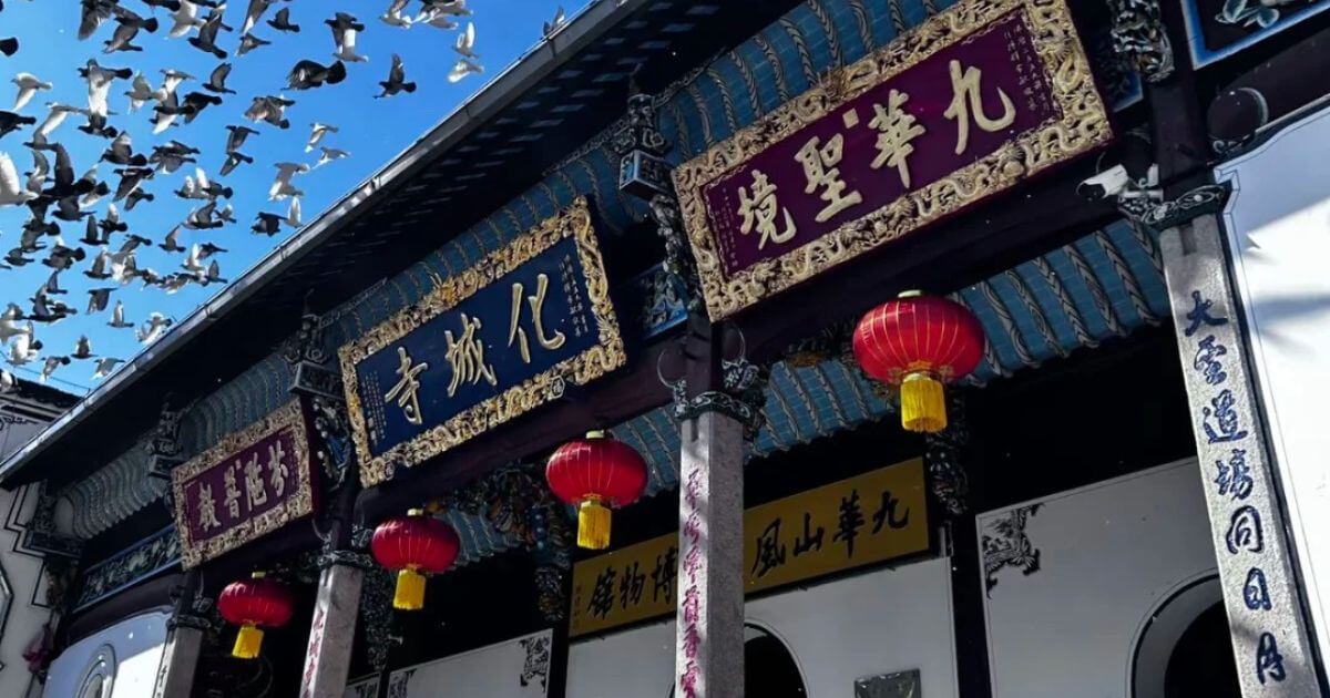化城寺飛鳥掠過寺廟的屋頂，紅燈籠裝飾